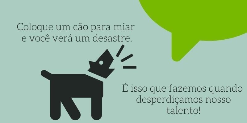 Abuse e use do seu talento