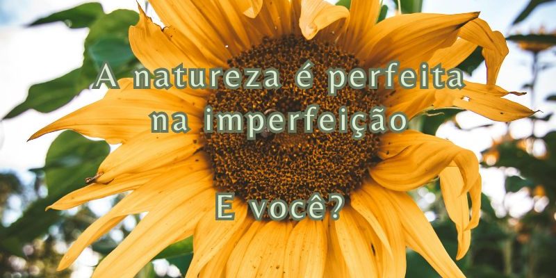 O poder da vulnerabilidade