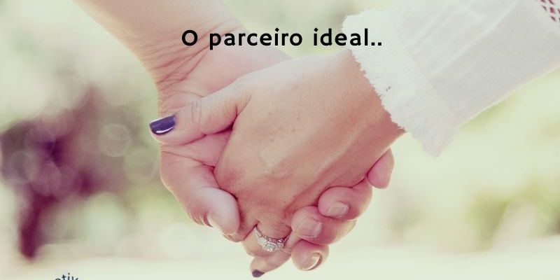 O parceiro ideal
